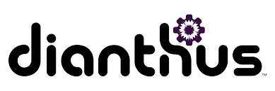 Dianthus