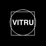 Vitru AI Consulting