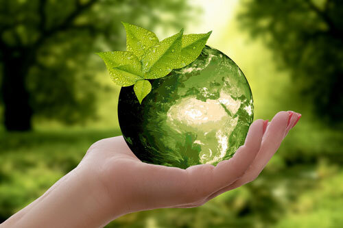 Environmental Sustainability Prompts