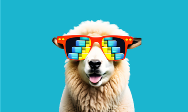 Large Language Models: Application through Production