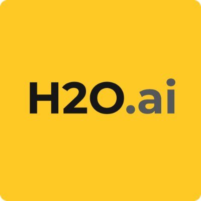H2O AI