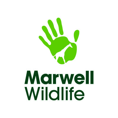 Marwell Zoo