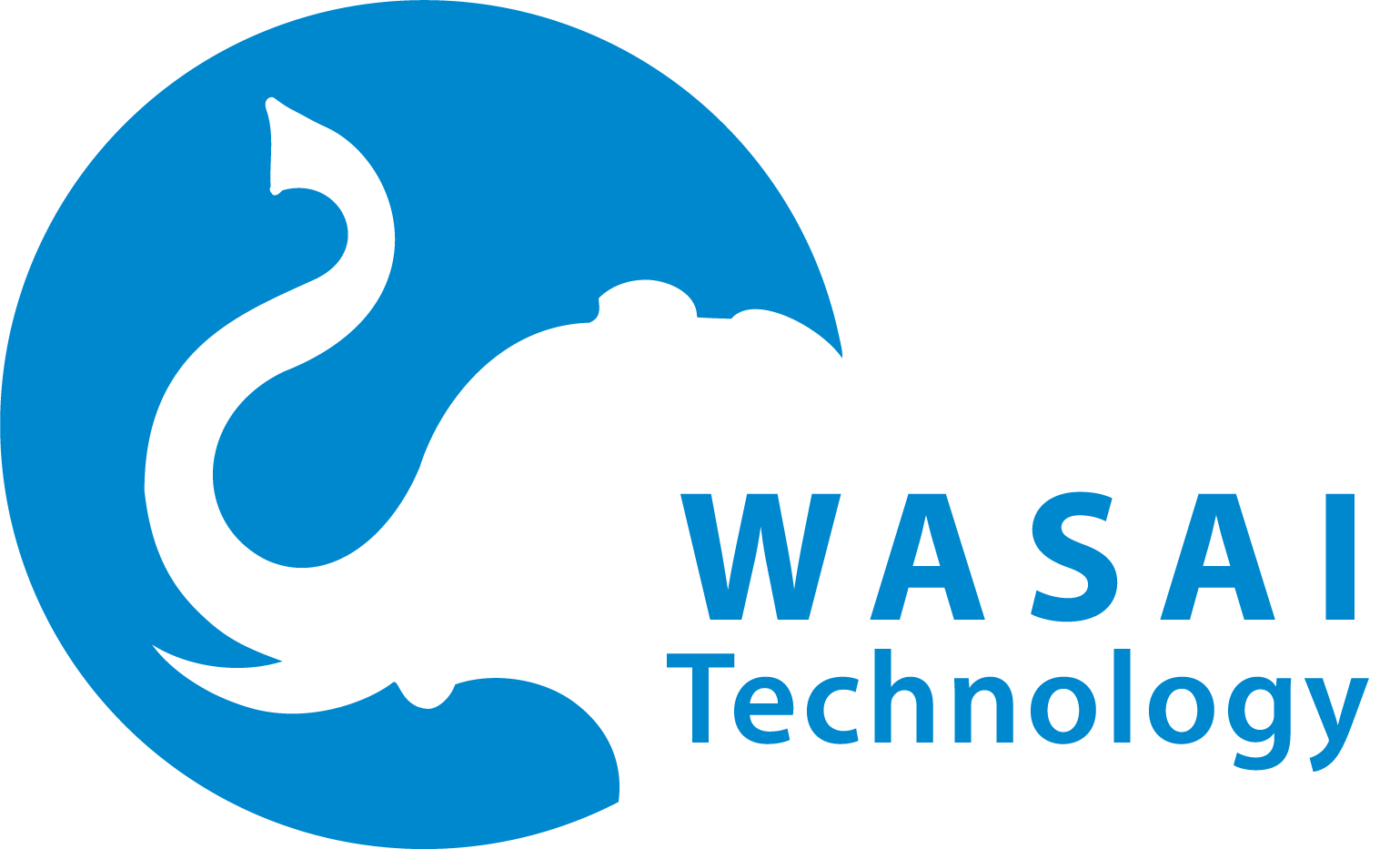 WASAI Technology