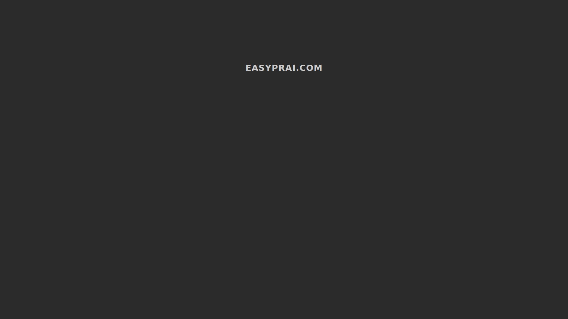EASYPR AI