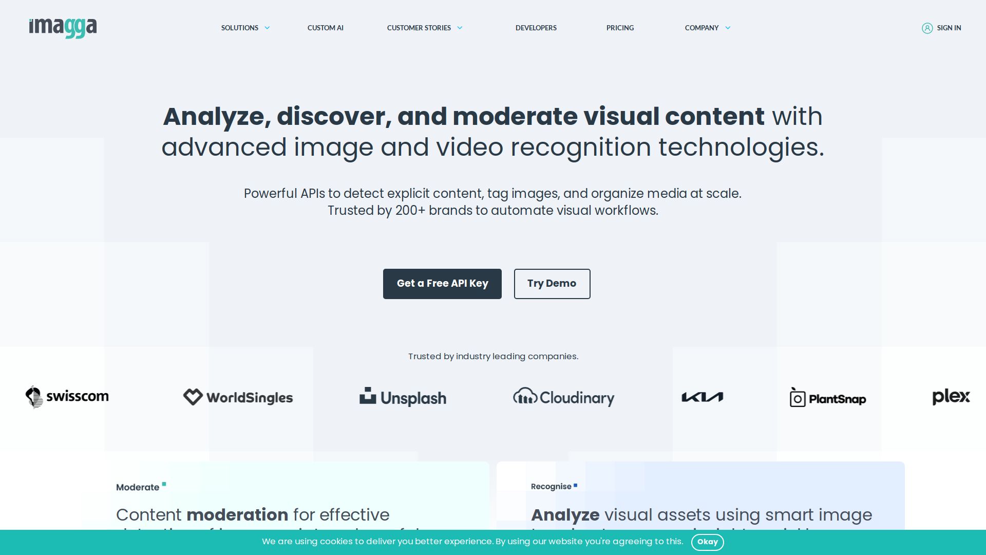 Imagga Image Recognition API
