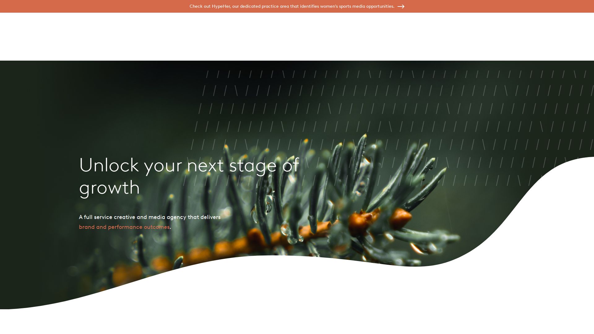 Rain Voice AI Solutions