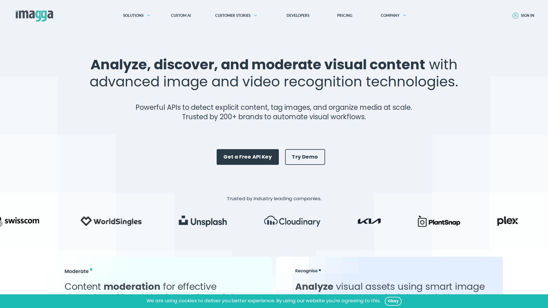 Imagga Image Recognition API
