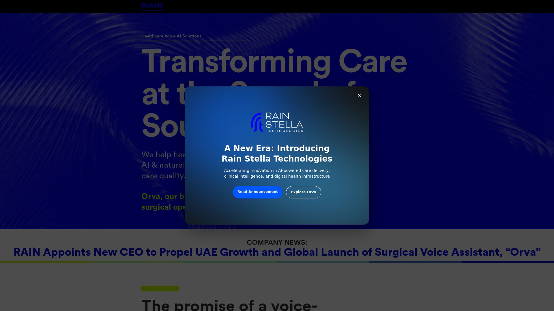 Rain Voice AI Solutions