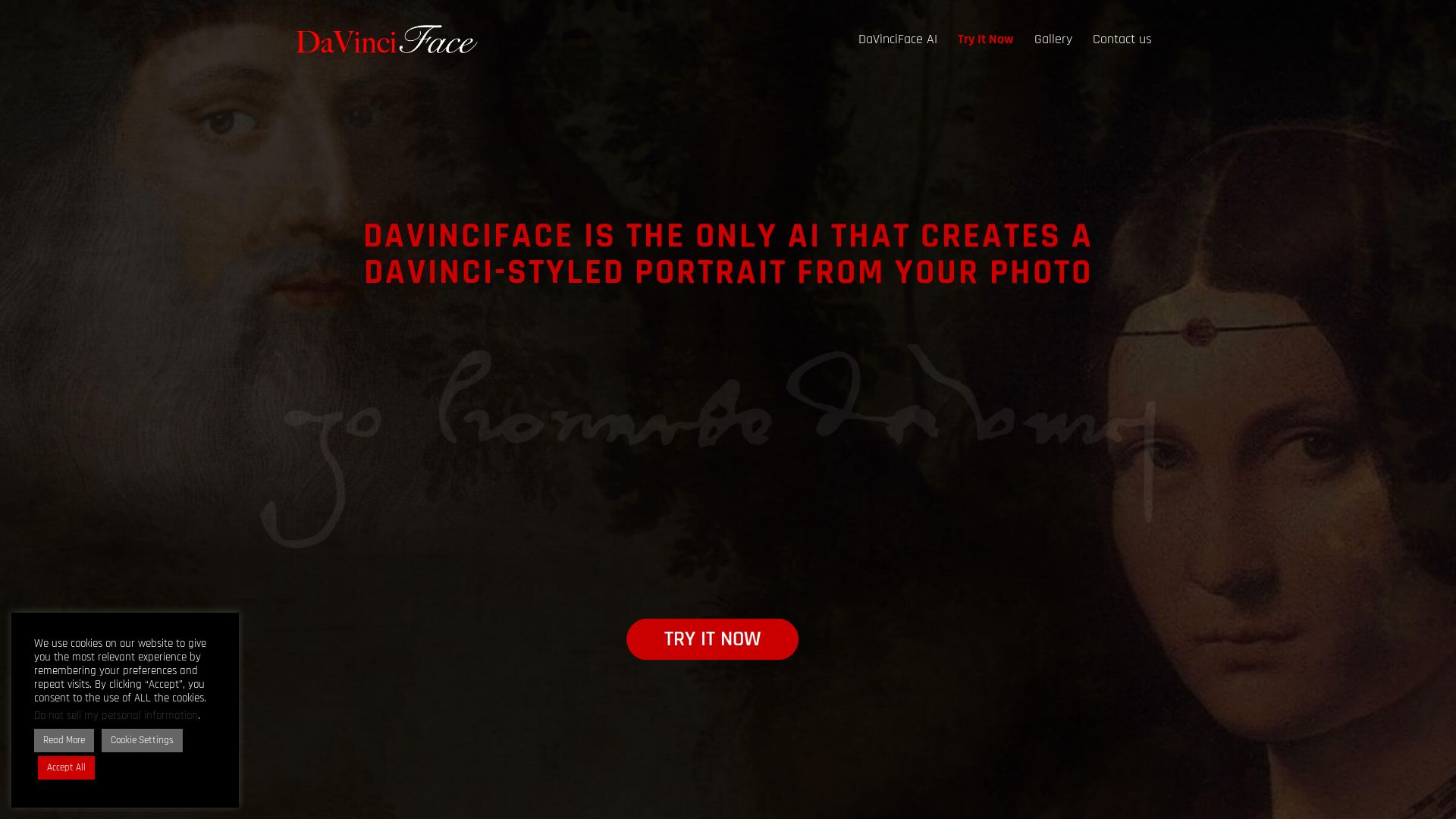 DaVinciFace