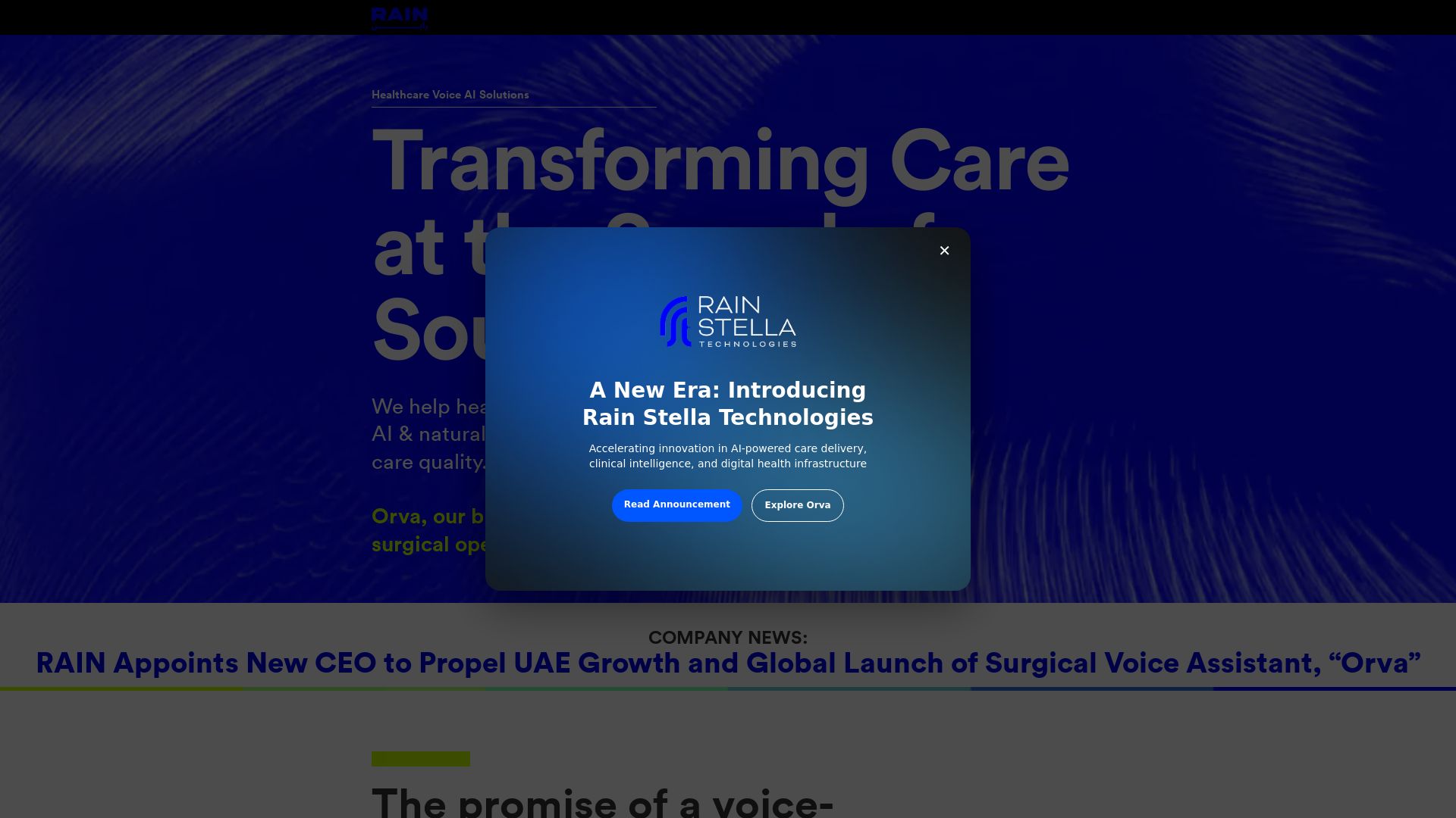 Rain Voice AI Solutions