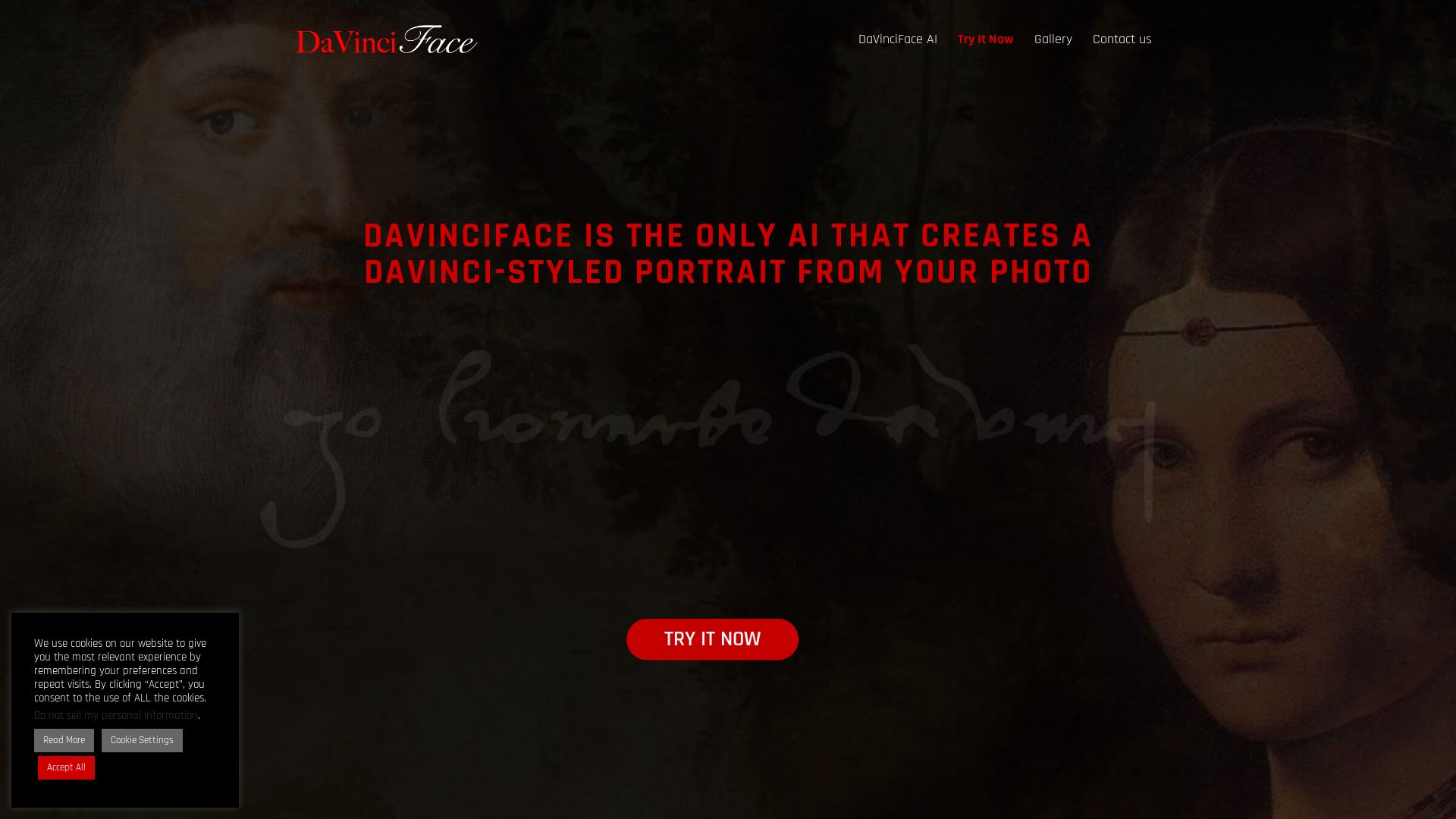 DaVinciFace