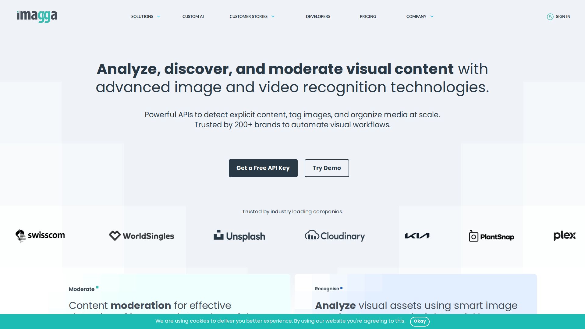 Imagga Image Recognition API