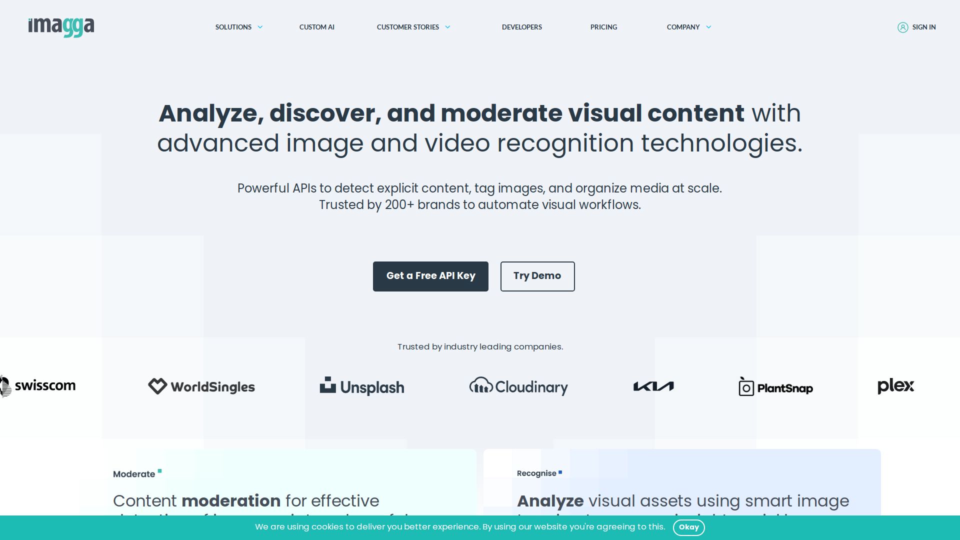 Imagga Image Recognition API