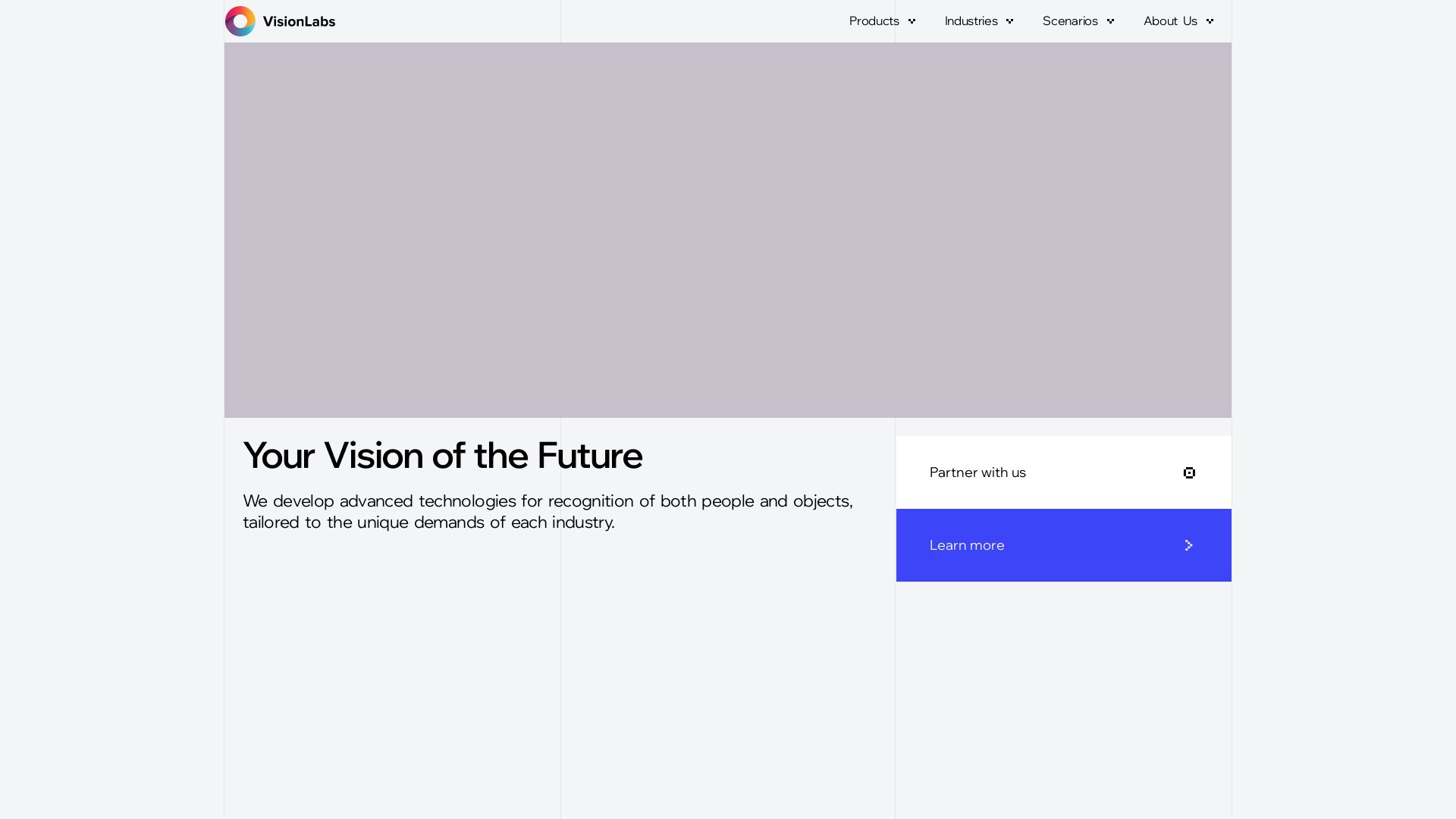 VisionLabs
