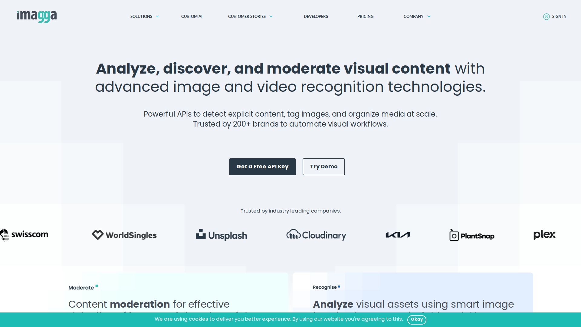 Imagga Image Recognition API