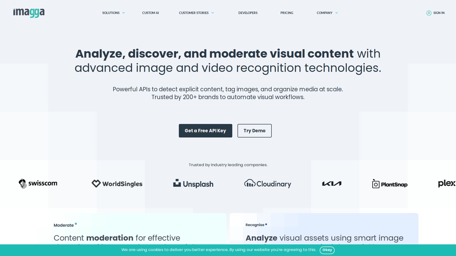 Imagga Image Recognition API