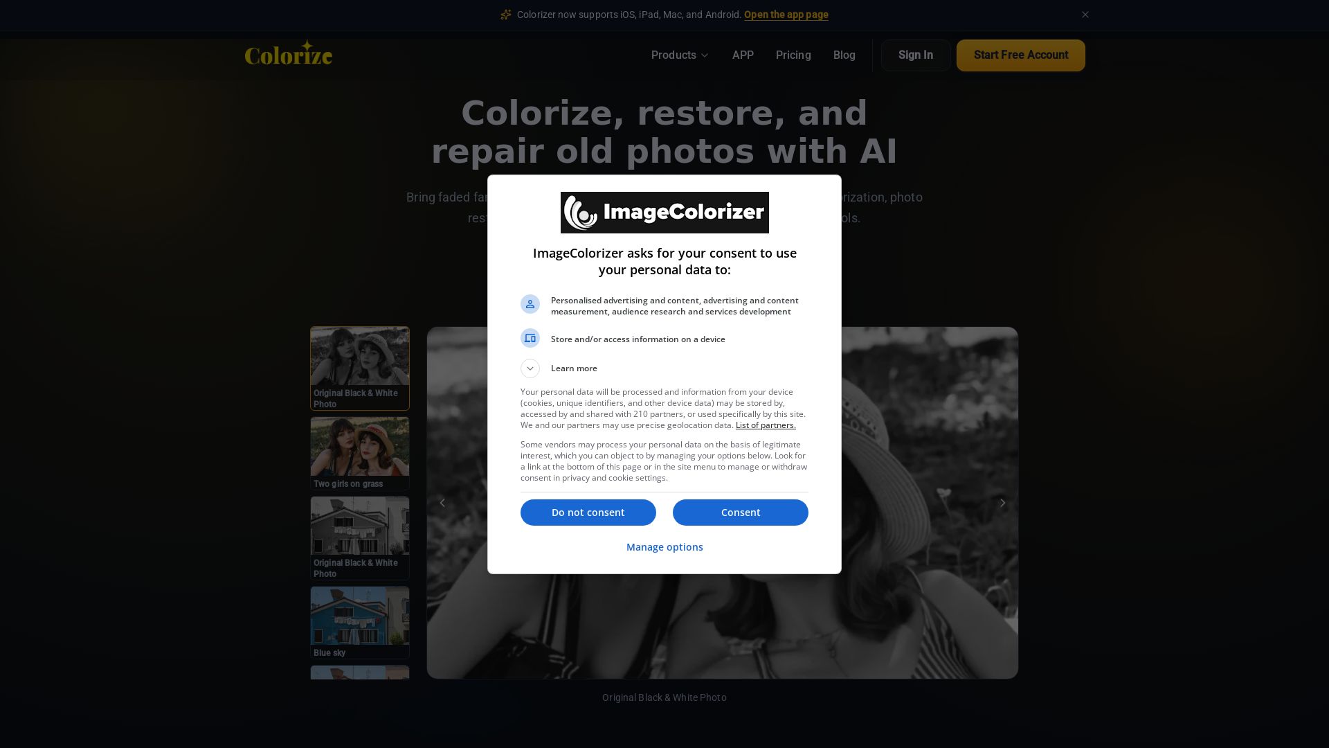 Imagecolorizer