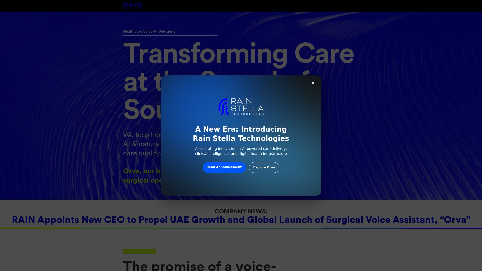 Rain Voice AI Solutions