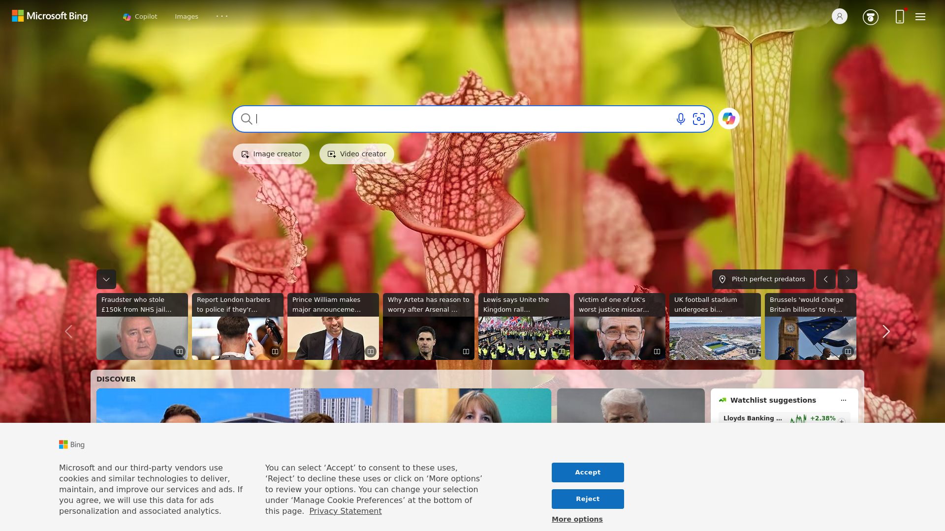 Microsoft Bing