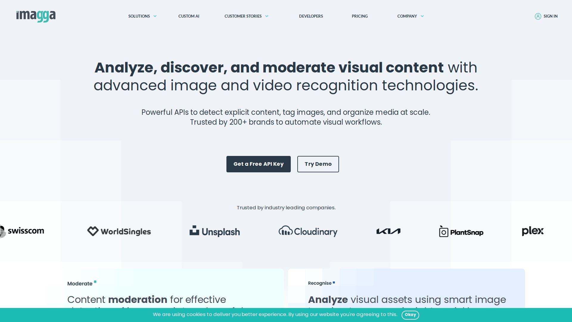 Imagga Image Recognition API