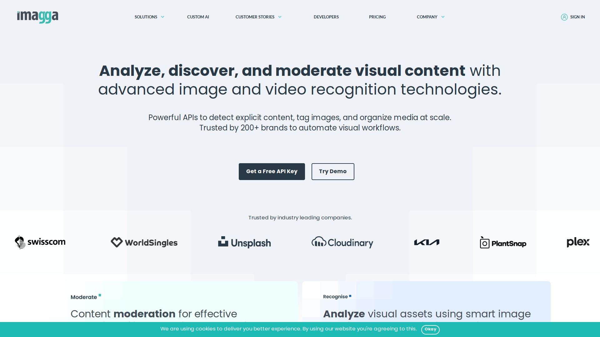 Imagga Image Recognition API