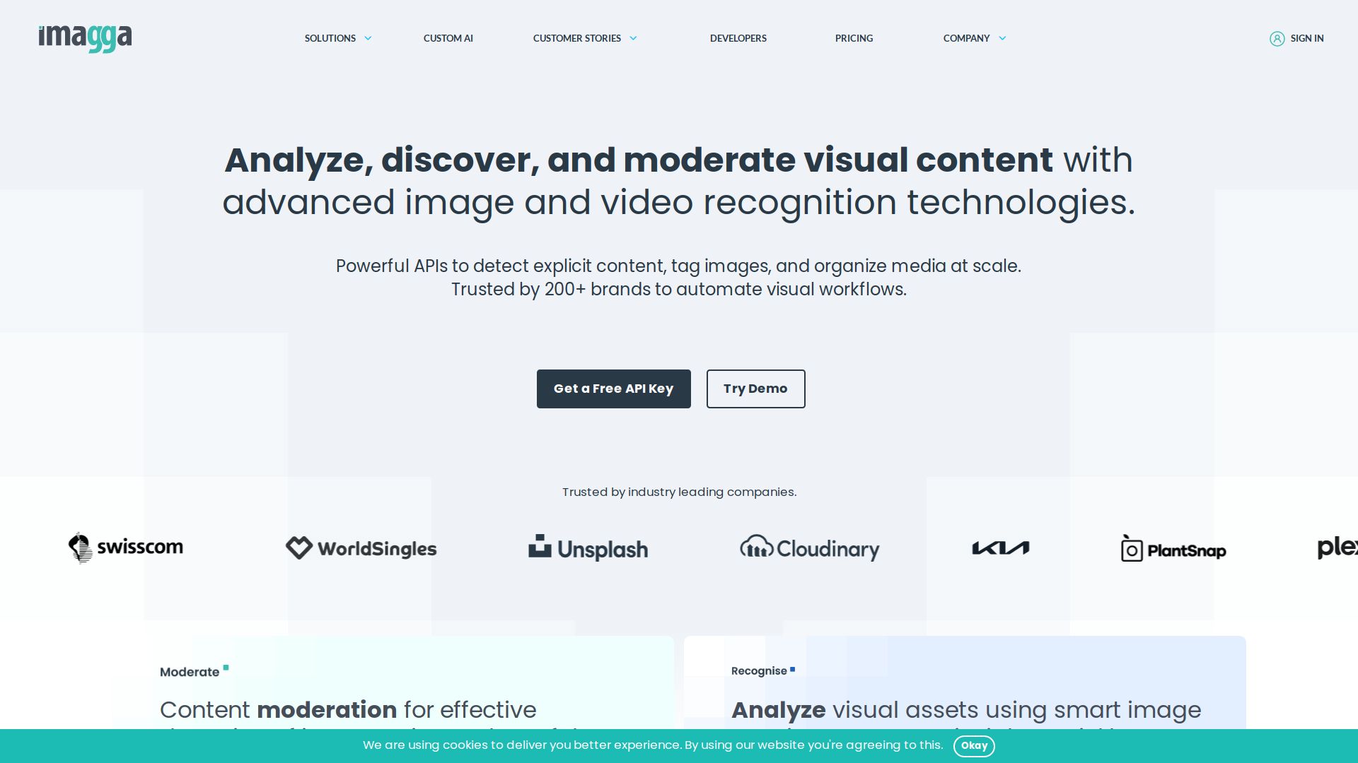 Imagga Image Recognition API