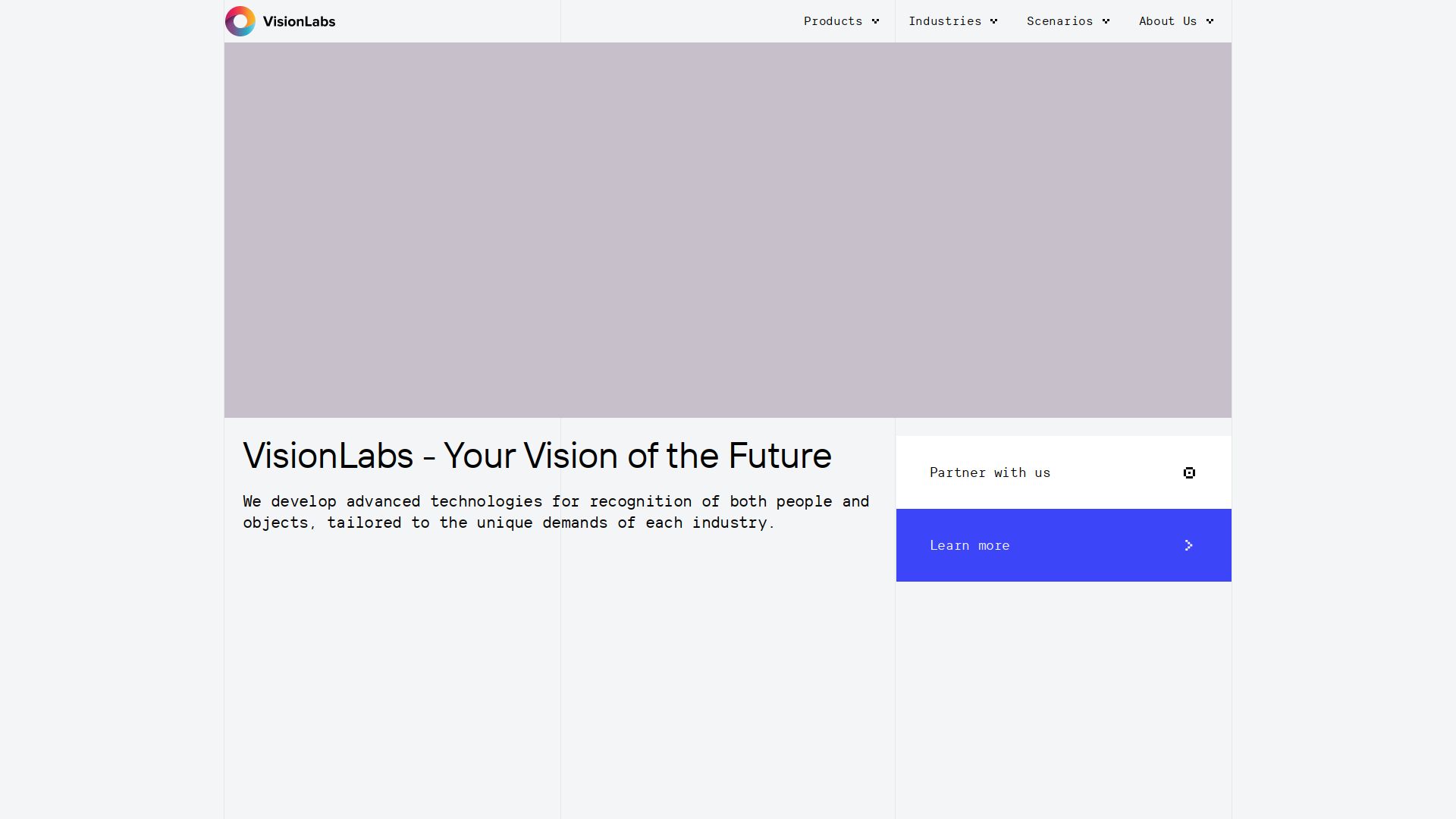 VisionLabs