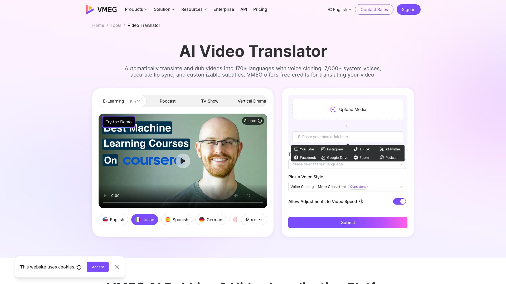 VMEG Video Translation