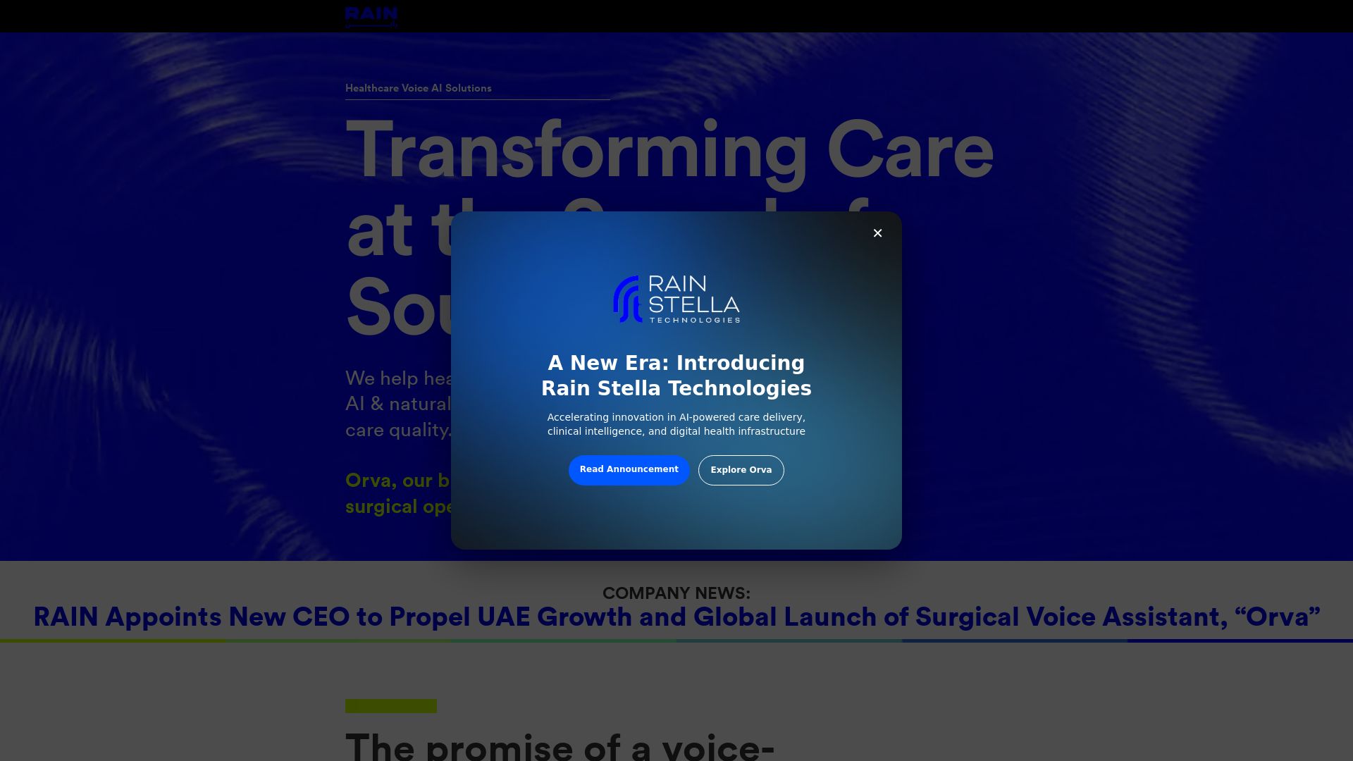 Rain Voice AI Solutions