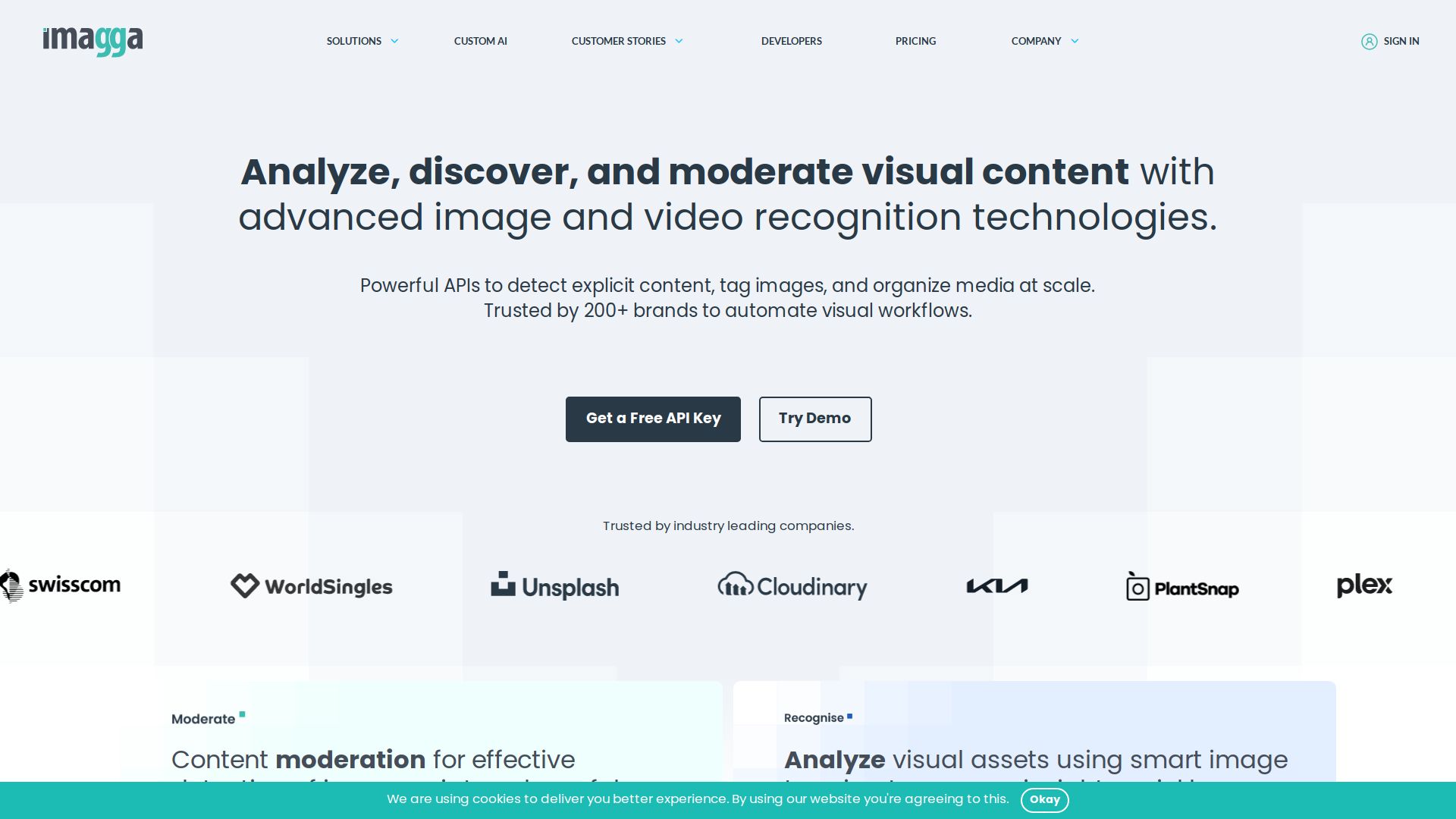 Imagga Image Recognition API