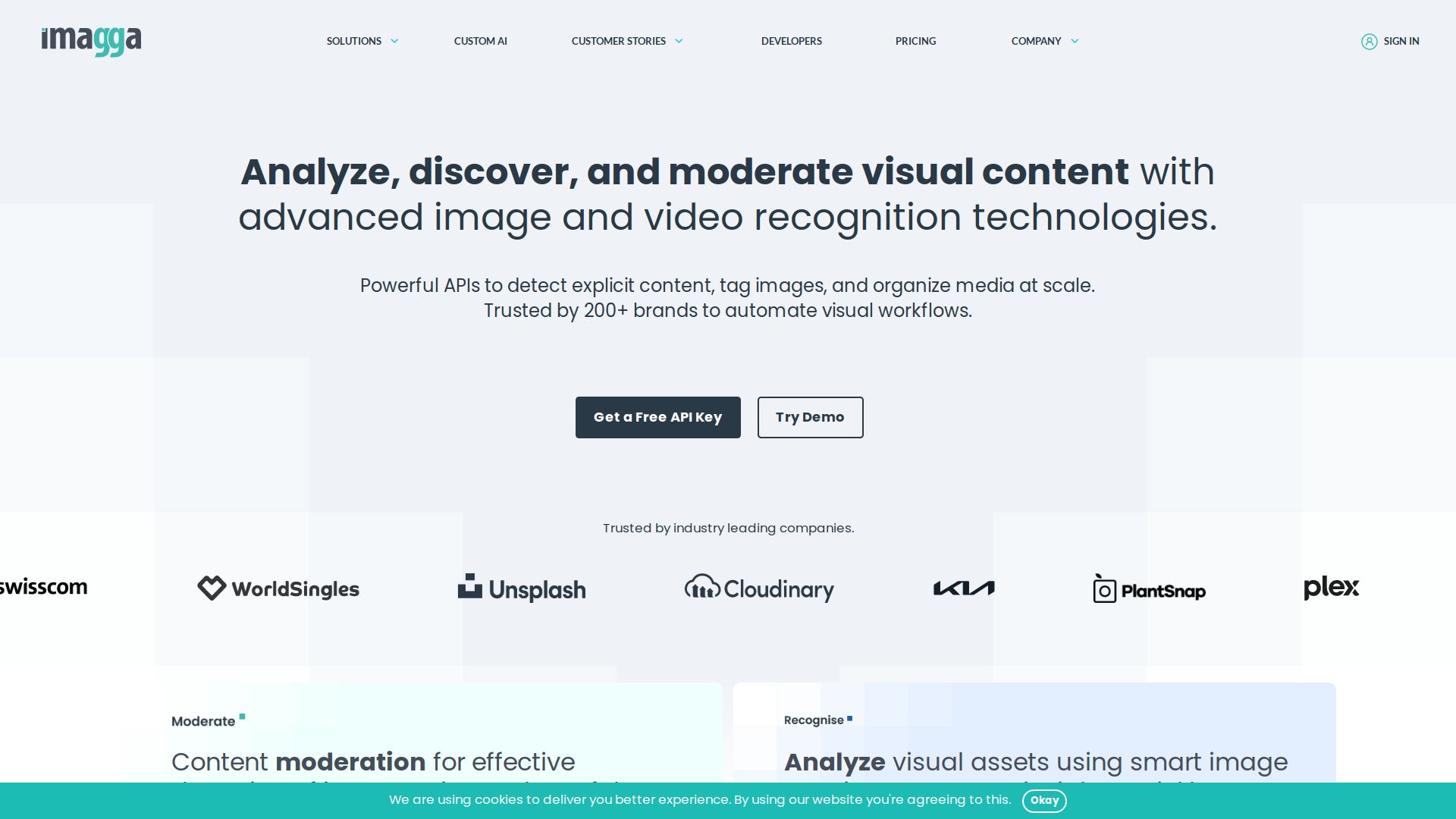 Imagga Image Recognition API