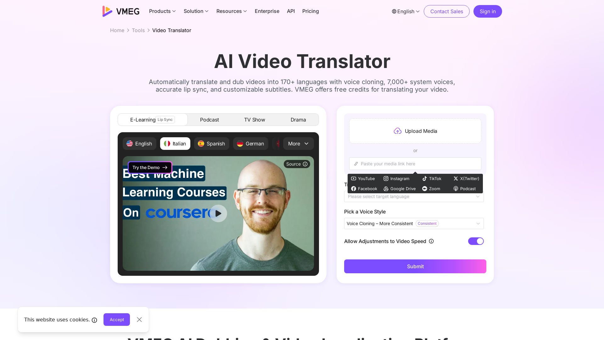 VMEG Video Translation