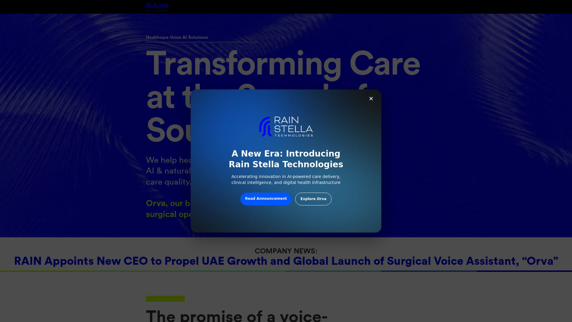 Rain Voice AI Solutions