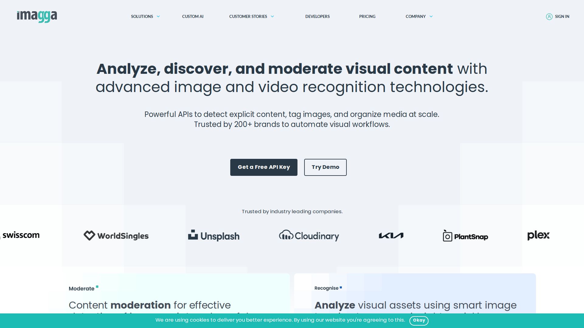 Imagga Image Recognition API